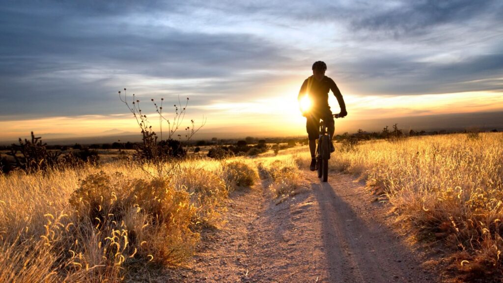 mountain biker